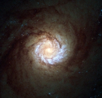 Взор Хаббла: Голодная галактика