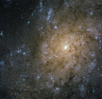 Джеты и взрывы в галактике NGC 7793