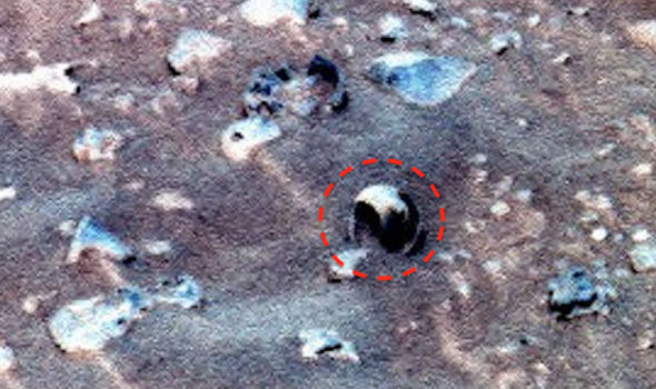 На Марсе обнаружили раковину