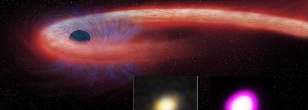 Астрономы обнаружили черную дыру, поглощающую звезду в течение 10 лет