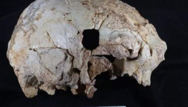 Ученые представили миру уникальный череп возрастом 400 тысяч лет