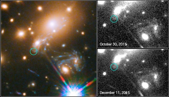Сверхновая 4-в-1: «Хаббл» захватывает четыре изображения взрывающейся звезды с деформацией в пространстве-времени