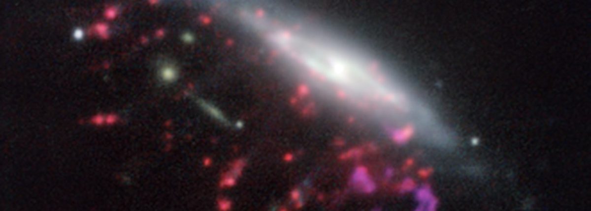 Сверхмассивные черные дыры питаются космическими «медузами»