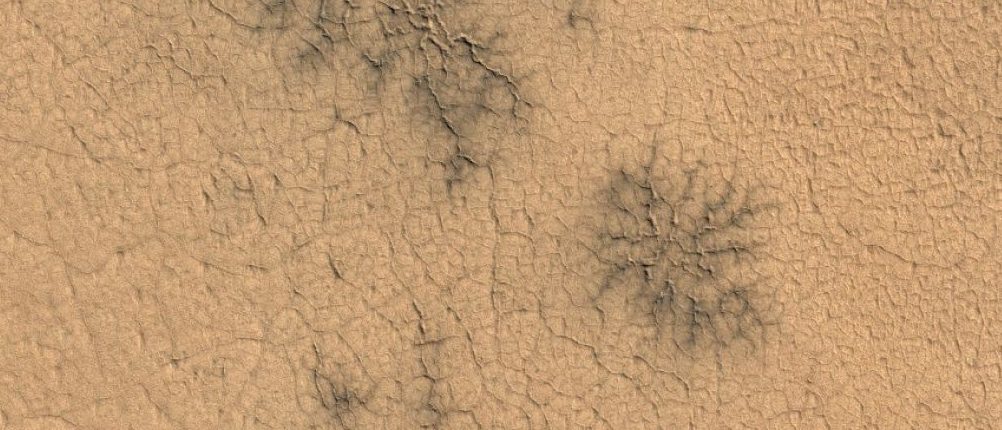 Волонтеры обнаружили «пауков» на Марсе, но не там, где ожидали