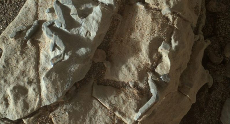 Обнаружение жизни на Марсе: как проверить доказательства?