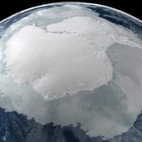 77 древних организмов обнаружено под шельфовым ледником в Антарктиде