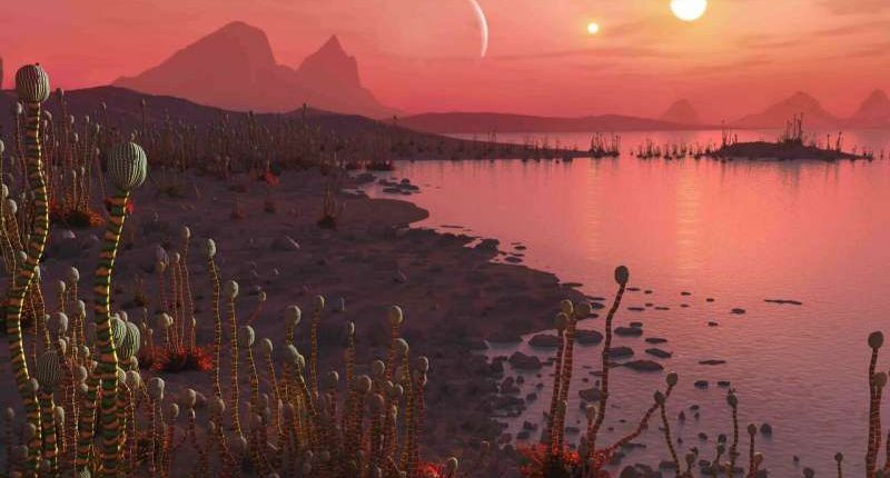 Планеты, где есть сразу два Солнца более гостеприимны для жизни