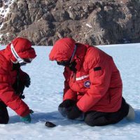 36 «пропавших» метеоритов нашли в Антарктике