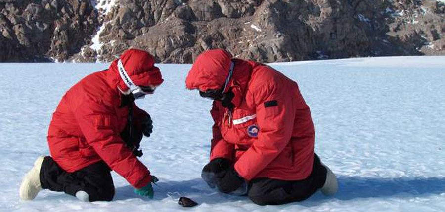 36 «пропавших» метеоритов нашли в Антарктике