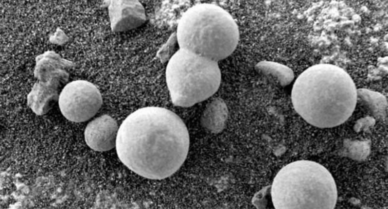 Вот правда о фотографиях «грибов» растущих на Марсе