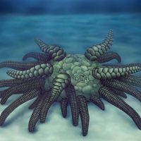 Ученые обнаружили «Ктулху», который терроризировал океаны 430 миллионов лет назад