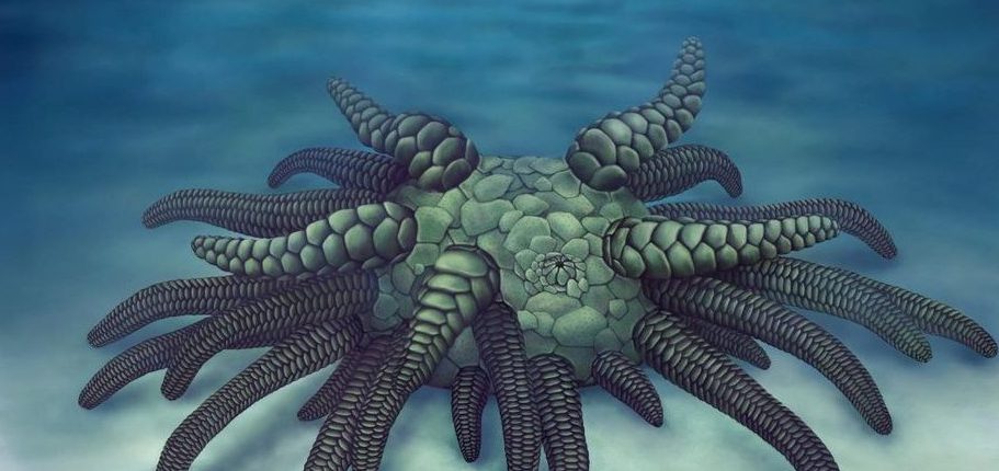 Ученые обнаружили «Ктулху», который терроризировал океаны 430 миллионов лет назад