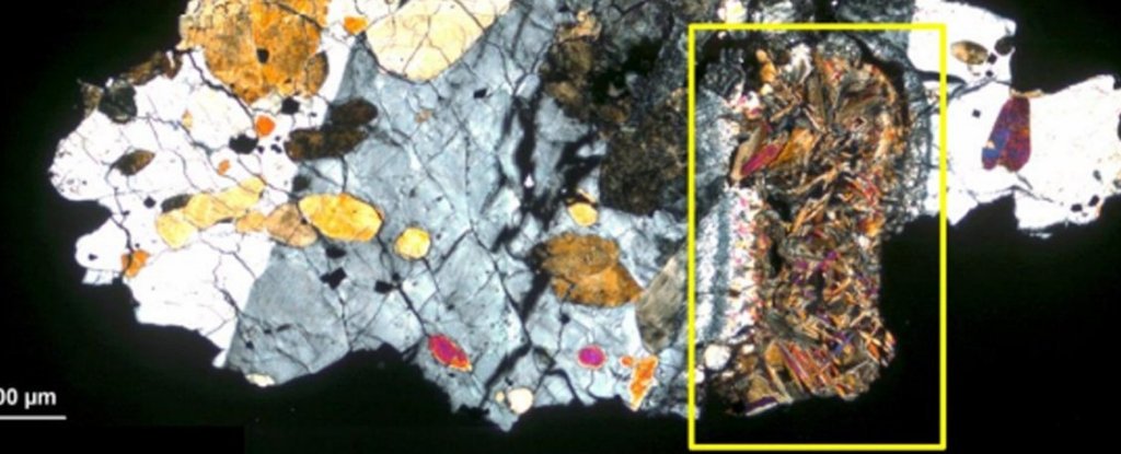 Астробиологи: старый метеорит может содержать активную микробную жизнь с Марса