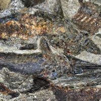 День, когда вымерли динозавры: Ученые обнаружили «ископаемое кладбище», связанное с падением астероида