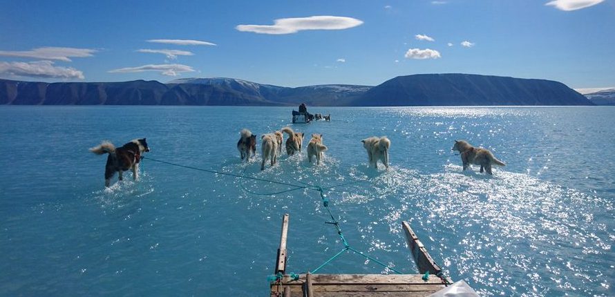 Ледяной покров Гренландии тает рекордными темпами