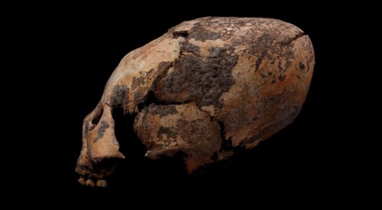 В Китае обнаружены жуткие «ксеноморфные» черепа, датируемые тысячелетиями