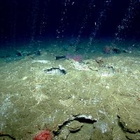 Невероятные залежи метана были обнаружены под океаническим дном