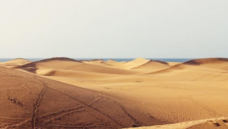 Физики заявляют, что песчаные дюны взаимодействуют и «общаются» друг с другом