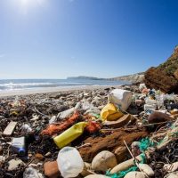 Огромное количество пластиковых отходов «исчезает» из океанов. Новое исследование показывает куда