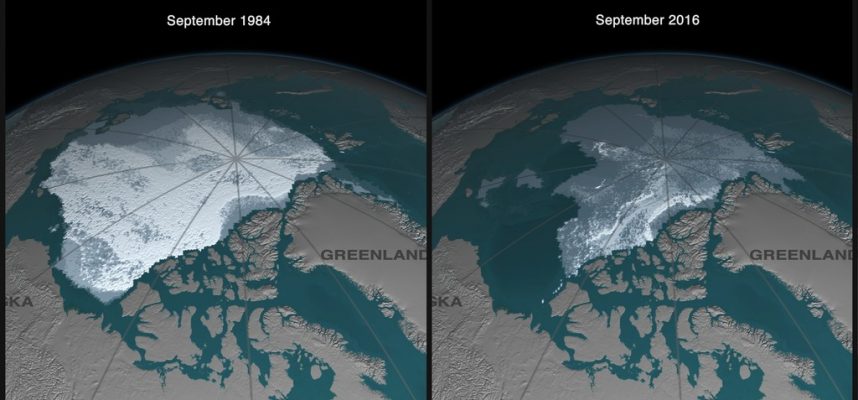 Геофизик: К 2050 году морской лед полностью исчезнет в Арктике