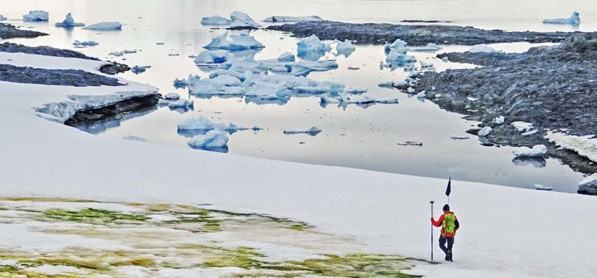 Изменение климата заставляет Антарктиду зеленеть