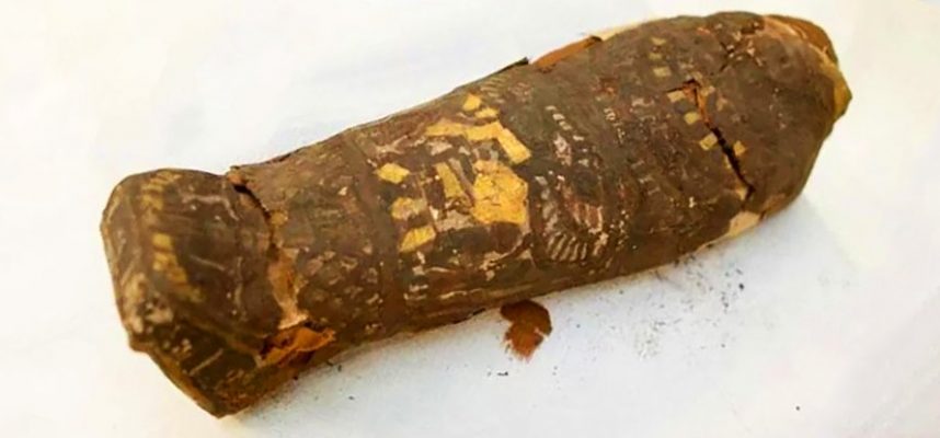 Ученые вскрыли древнеегипетский саркофаг, которому более двух тысяч лет