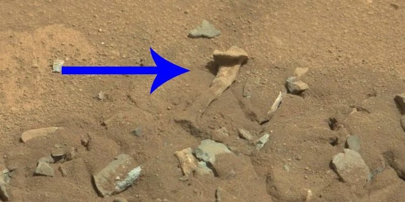 Эта «человеческая кость», найденная на снимке поверхности Марса, даже не нова. Вот настоящая история