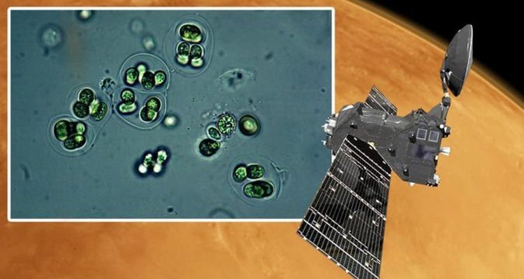 Жизнь на Марсе: зонд обнаружил аномалии в атмосфере планеты