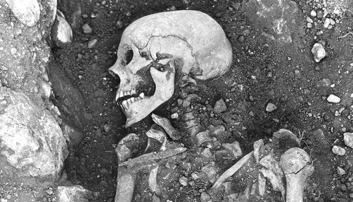 Древняя вирусная ДНК из эпохи викингов приблизила ученых к разгадке происхождения оспы