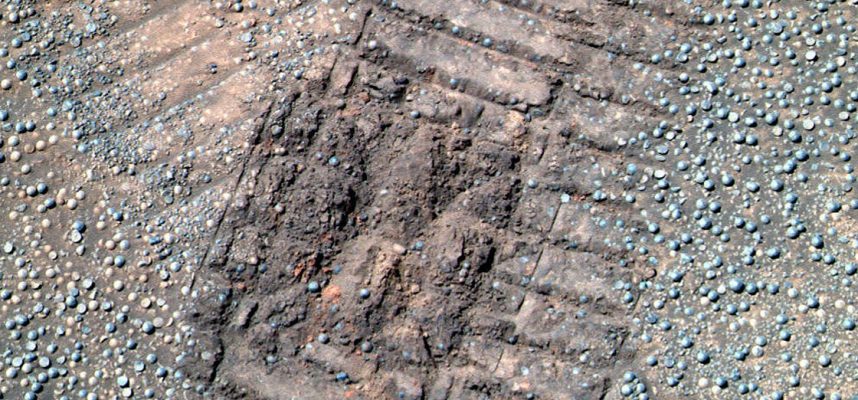 Ученый: на Марсе есть грибы и лишайники
