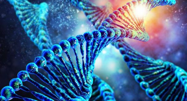 Ученые впервые определили последовательность хромосом человека