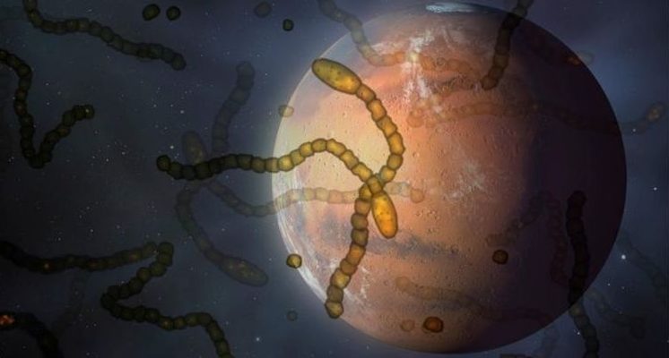 Иммунная система человека еще не готова противостоять атакам инопланетных микробов