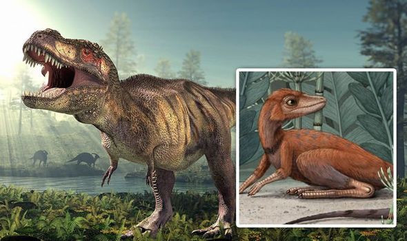 Останки аномально маленького динозавра поразили археологов