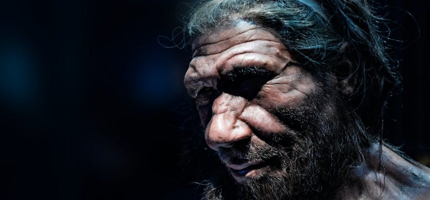 Археологи выделили старейшую ДНК Неандертальцев