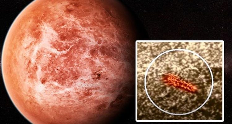 Жизнь на Венере: российский ученый с помощью секретного зонда заметил «что-то движущееся на поверхности»