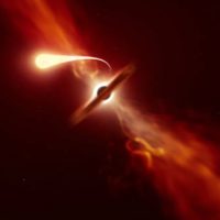 Новая симуляция показывает различные сценарии поглощения звезд черными дырами