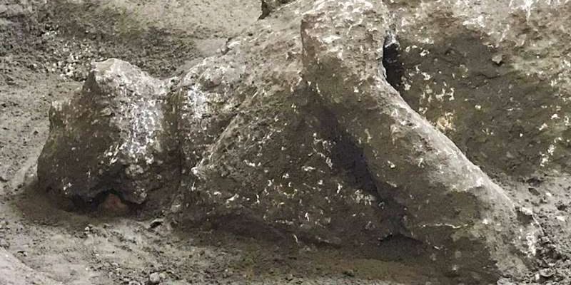 Древние жертвы ярости Везувия, обнаружены в пепле Помпеи