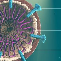 Вирусологи обнаружили 7 новых мутаций коронавируса