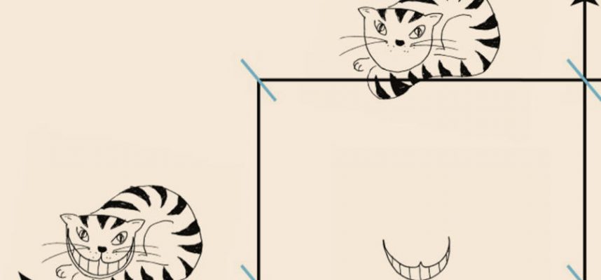 В новой сногсшибательной статье физики дают коту Шредингера чеширскую ухмылку