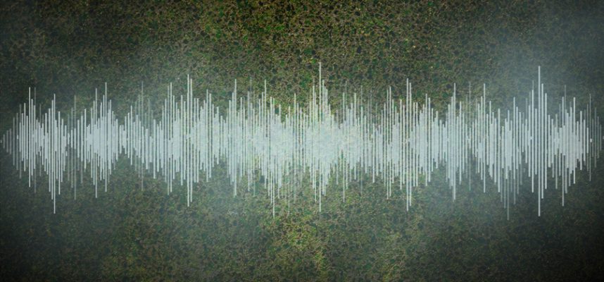 Впервые физики записали звук течения «идеальной» жидкости