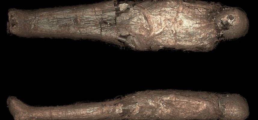 Археологи обнаружили древнюю мумию погребенную в странном коконе