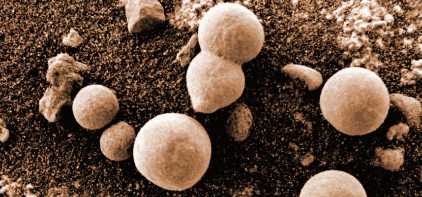 Ученые утверждают, что обнаружили грибок, растущий на Марсе