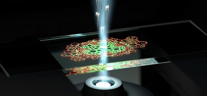 Ученые утверждают, что новый квантовый микроскоп обнаруживает структуры, которые раньше невозможно было увидеть