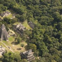 С помощью спутников обнаружили таинственную цитадель, спрятанную в древнем городе майя
