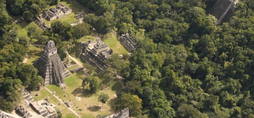 С помощью спутников обнаружили таинственную цитадель, спрятанную в древнем городе майя