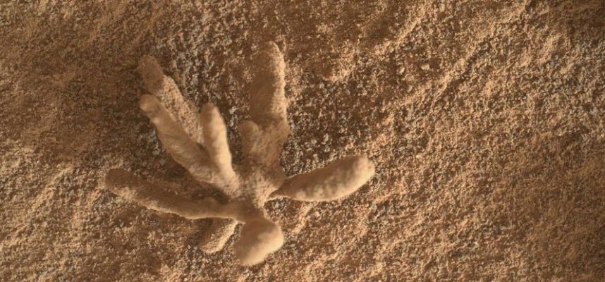 Марсоход Curiosity сфотографировал крошечный минеральный «цветок» на Марсе