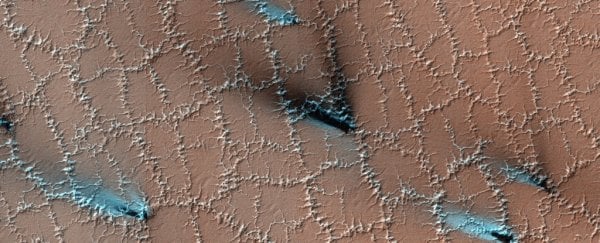 Странный сотовый узор на Марсе, по-видимому, образован водяным льдом и углекислым газом