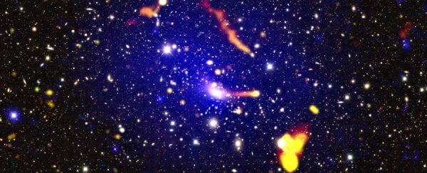 Странные источники радиоизлучения в отдаленном галактическом скоплении бросают вызов нашему пониманию
