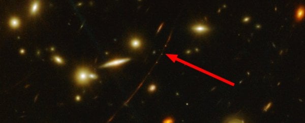 Космический телескоп Джеймса Уэбба получил первое изображение самой далекой из известных звезд