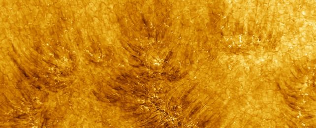 Потрясающие новые изображения показывают лицо Солнца таким, каким мы его раньше не видели